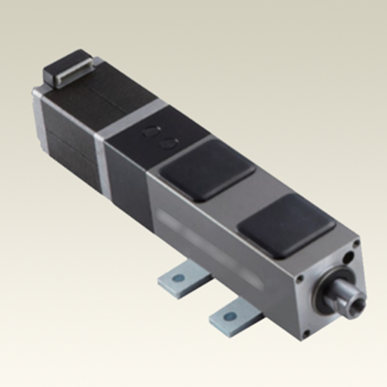 DS28卧式精密电动缸